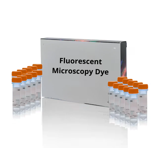 [Fluo-0308] Rhodamine B, hexyl ester perchlorate R 6 - 10 mg