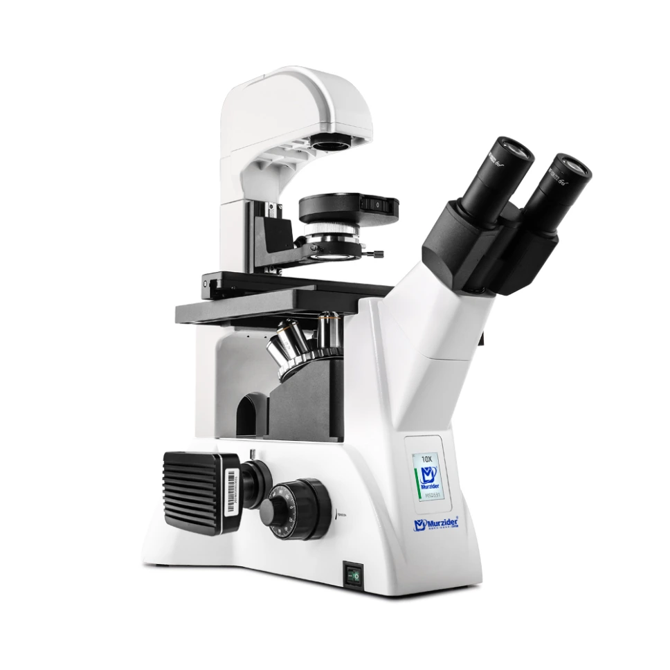 [MSD531] Inverted Phase Contrast Biological Microscope